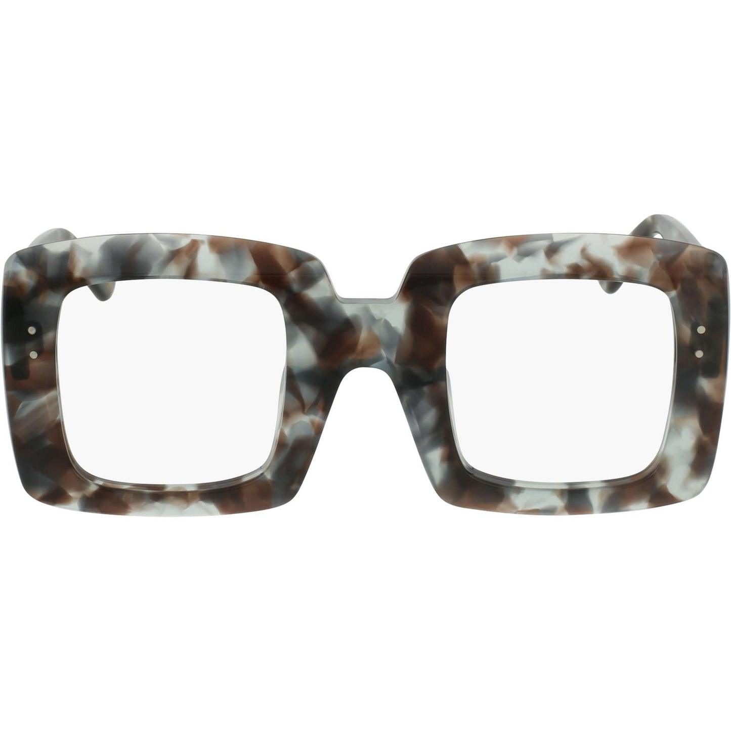 Grey Tortoise